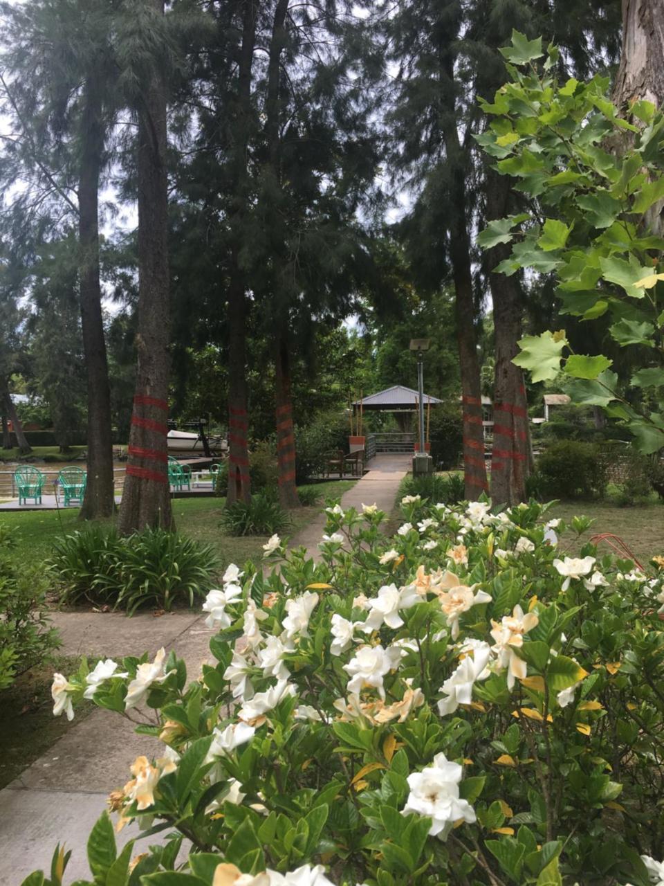 ティグレ Cabanas Del Espera N 65ヴィラ エクステリア 写真